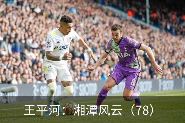 王平河：湘潭风云（7/8）